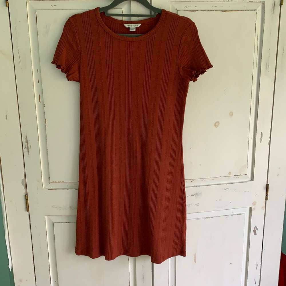 Burnt Red/Orange American Eagle Dress